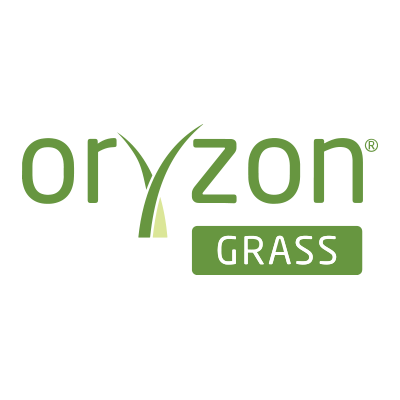 Oryzon grass